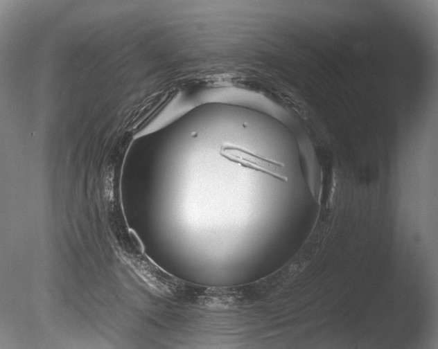 X0000085290368200703161456