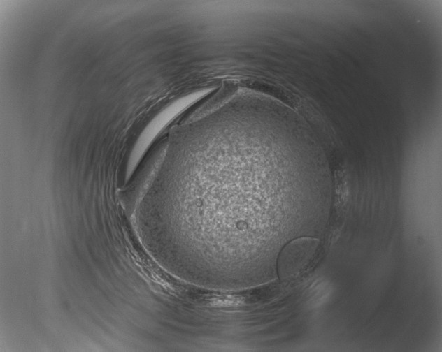 X0000085290369200703161456