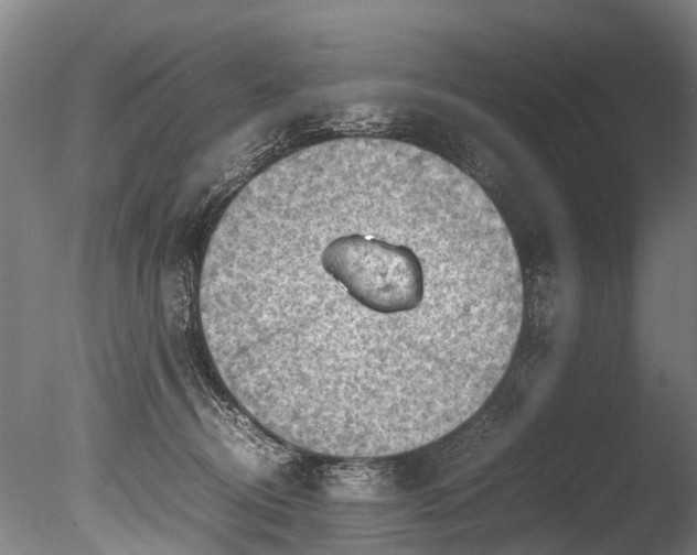 X0000085290370200703161456