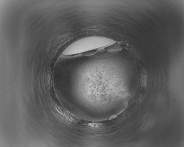 X0000085290371200703161456