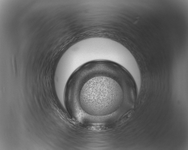 X0000085290372200703161456