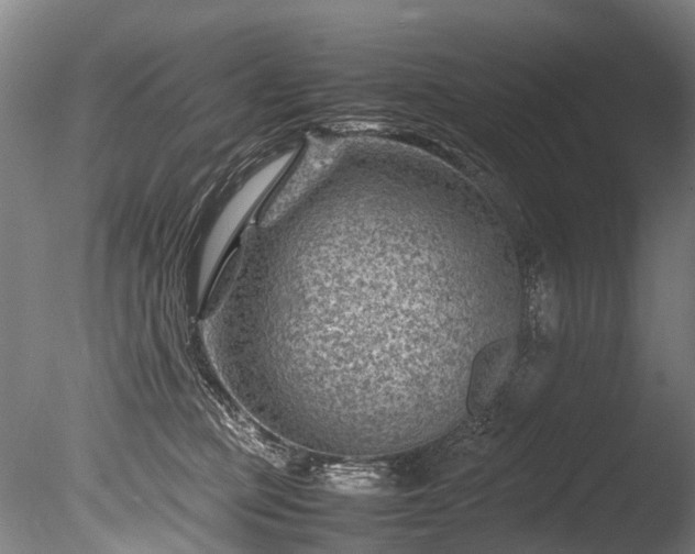 X0000085290373200703161456