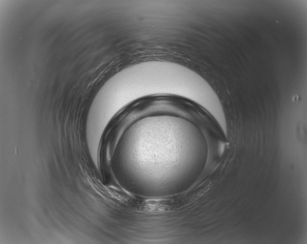 X0000085290376200703161456