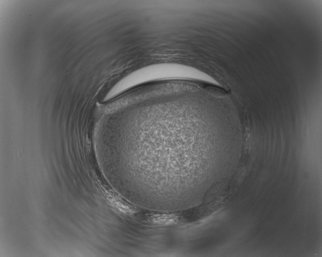 X0000085290377200703161456