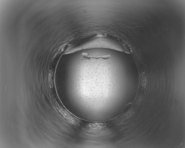 X0000085290378200703161456