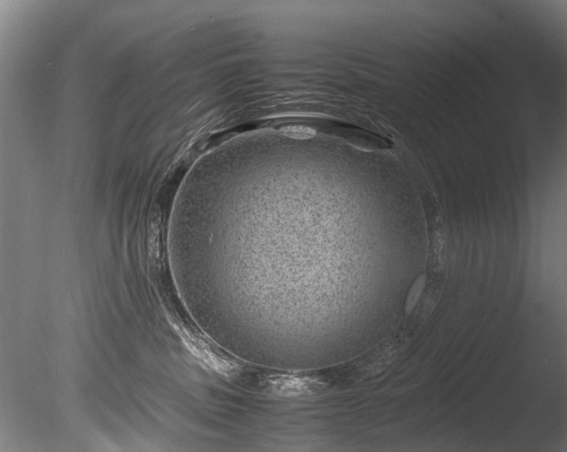 X0000085290379200703161456