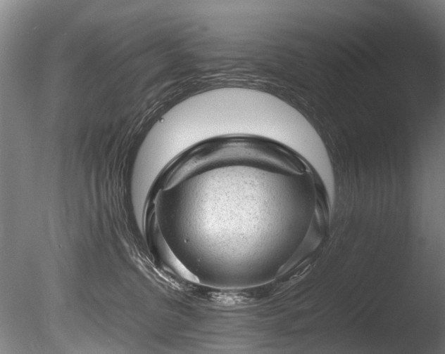 X0000085290380200703161456