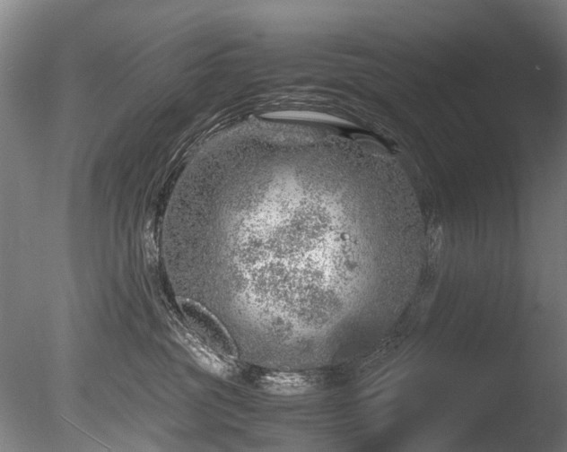 X0000085290381200703161456