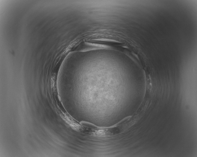 X0000085290382200703161456