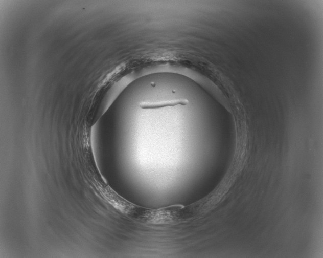 X0000085290384200703161457