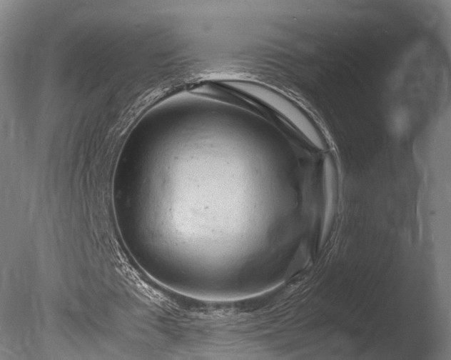 X0000085290385200703161456