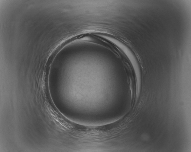 X0000085290387200703161456