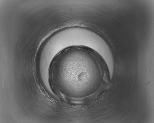 X0000085290388200703161456