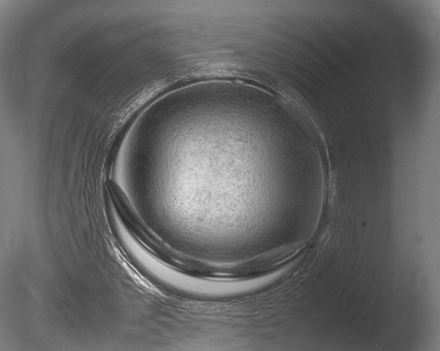 X0000085290389200703161456