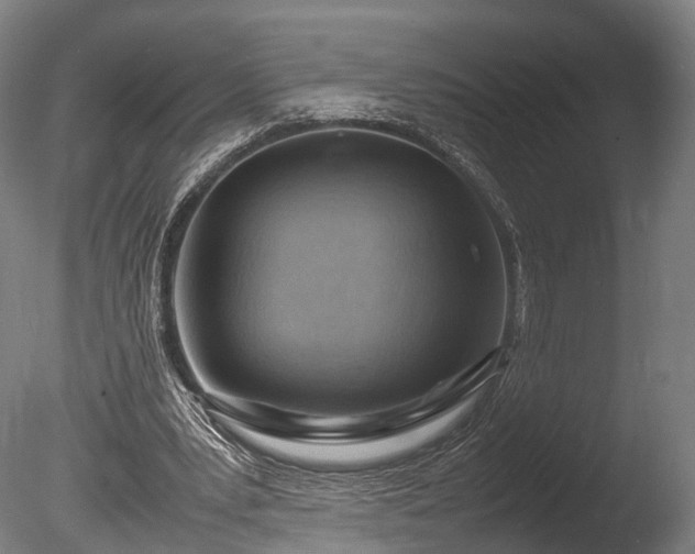 X0000085290391200703161456