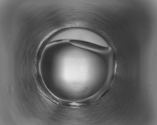 X0000085290392200703161456