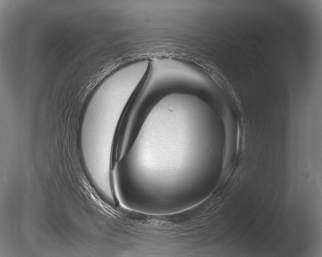 X0000085290393200703161456