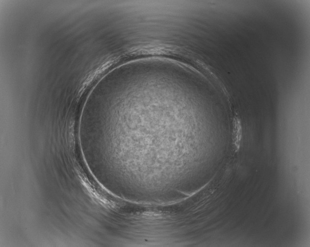 X0000085290394200703161456