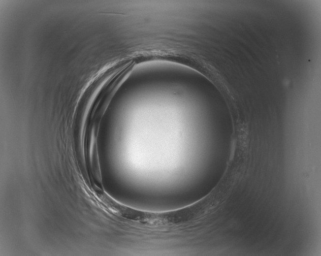 X0000085290395200703161456