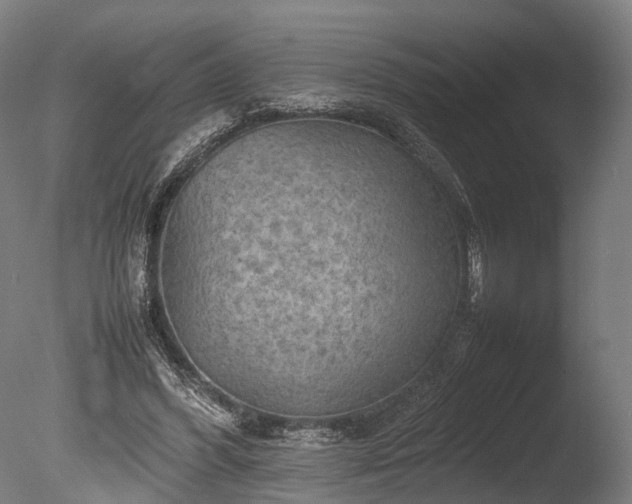 X0000085290396200703161455