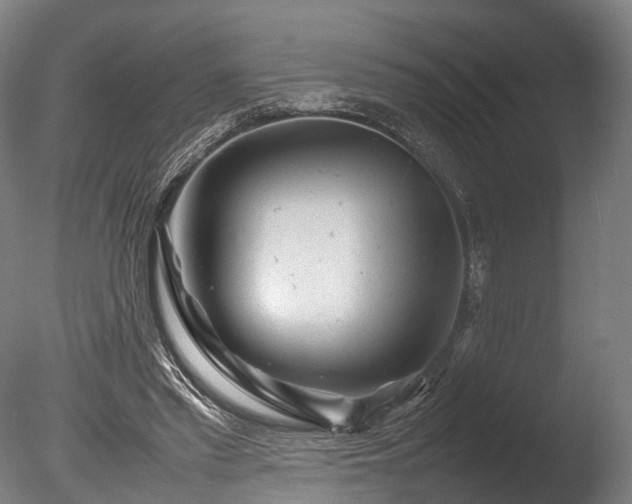 X0000085290397200703161455