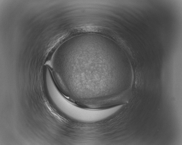 X0000085290398200703161455