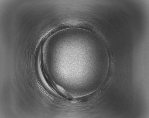 X0000085290399200703161455