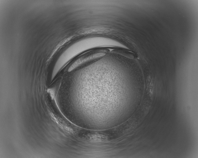 X0000085290400200703161455