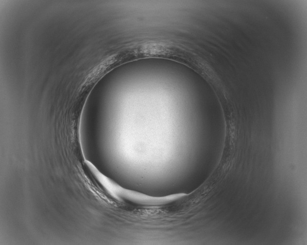 X0000085290401200703161455