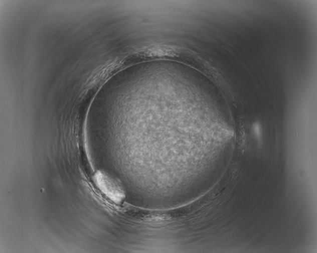 X0000085290402200703161455