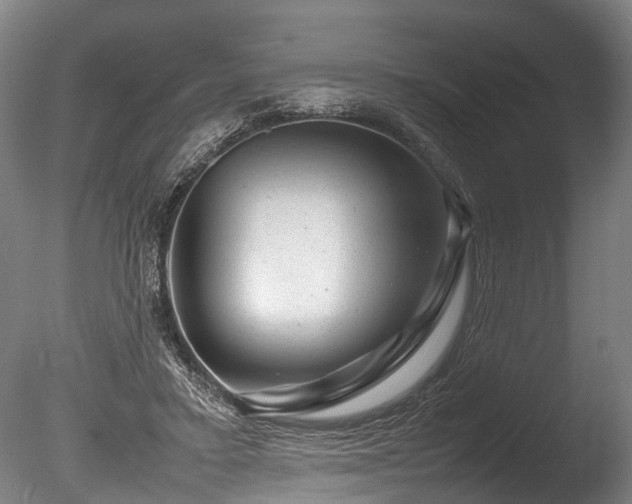 X0000085290403200703161455