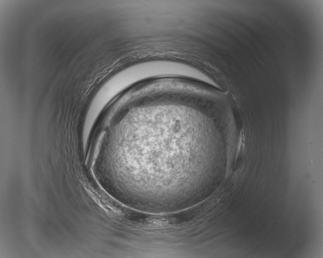 X0000085290405200703161455