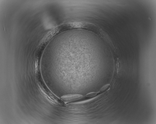 X0000085290406200703161455