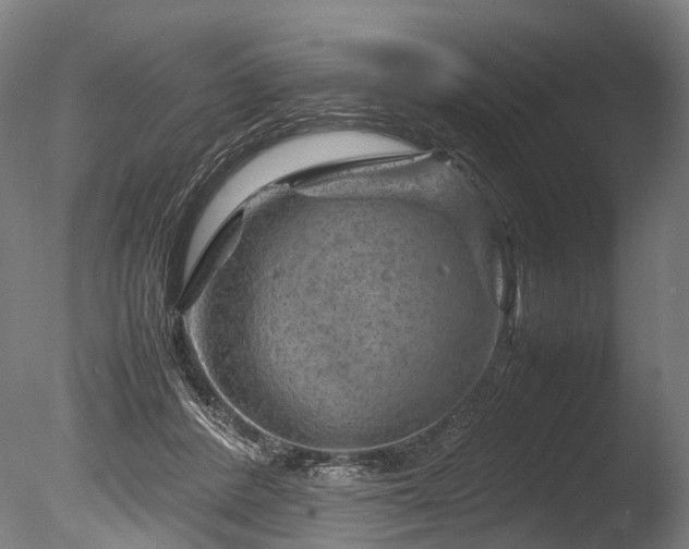 X0000085290408200703161455