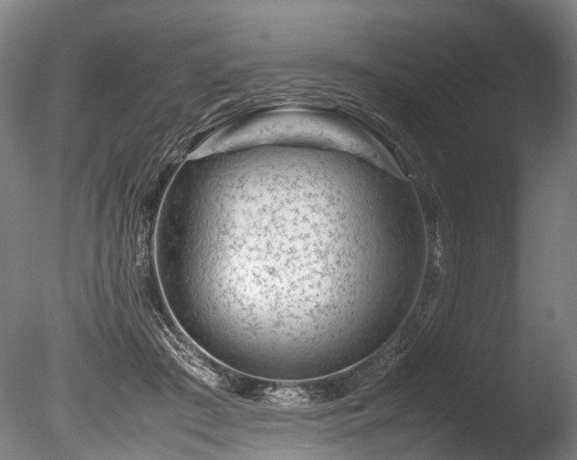 X0000085290409200703161455