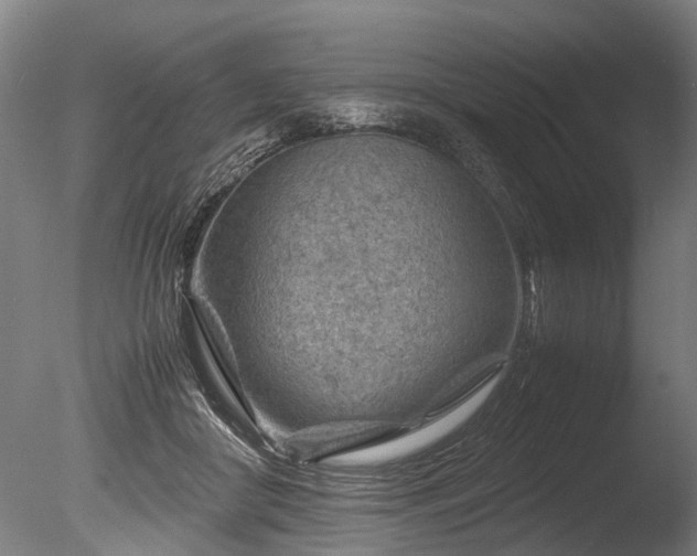 X0000085290410200703161455