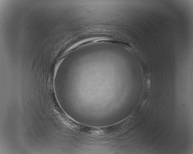 X0000085290411200703161455