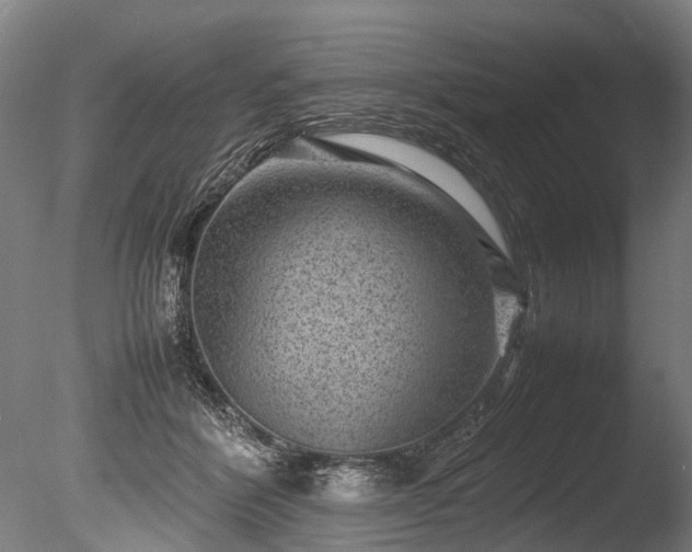 X0000085290412200703161455