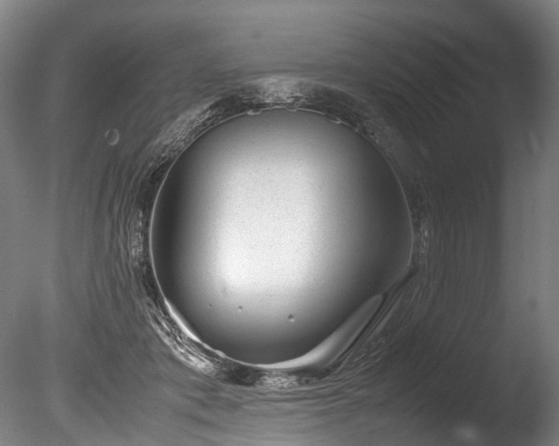 X0000085290413200703161455