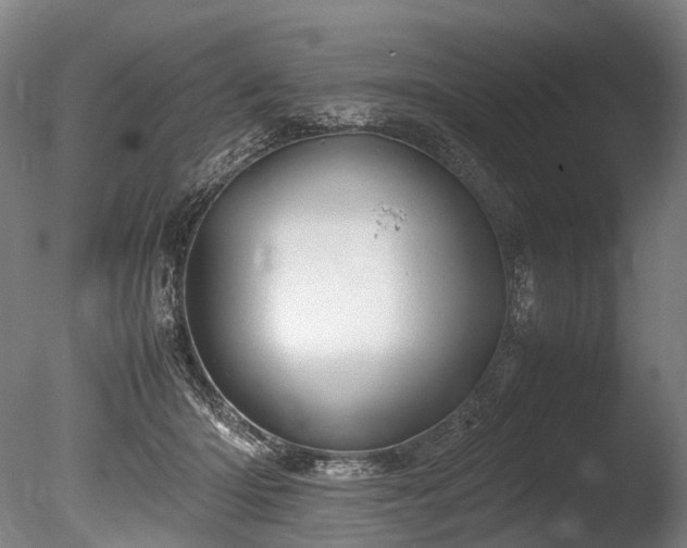 X0000085290414200703161455