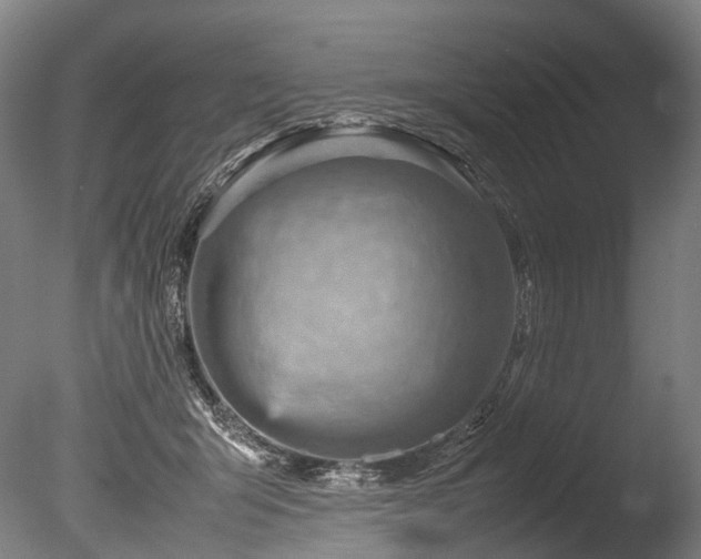 X0000085290415200703161455