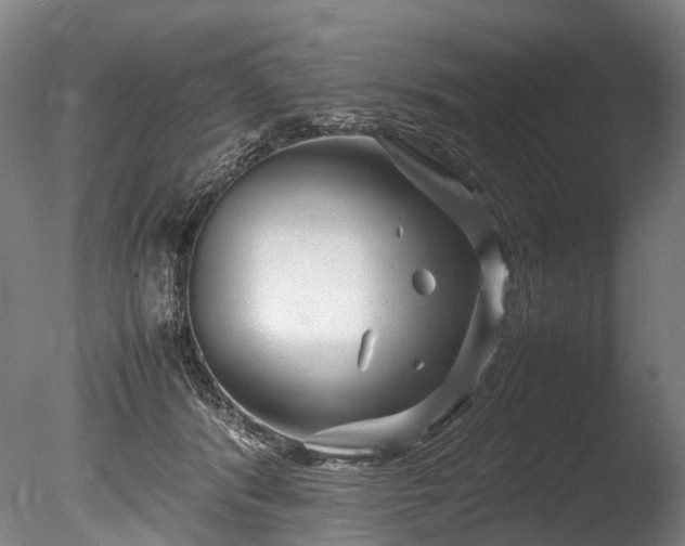 X0000085290416200703161455