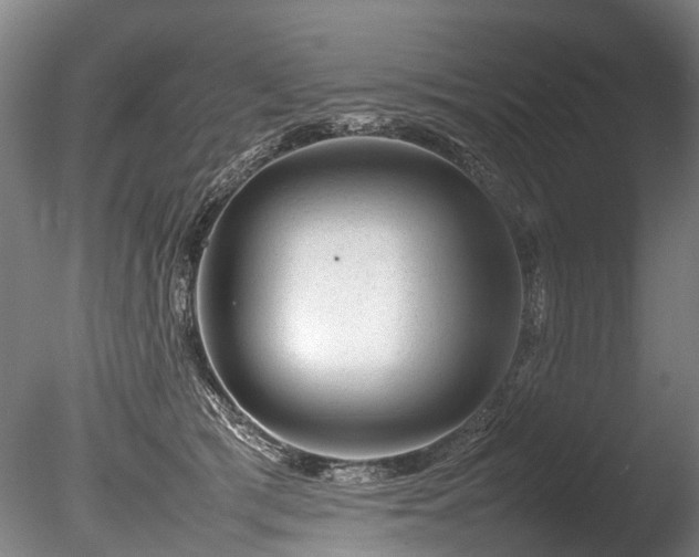 X0000085290417200703161455