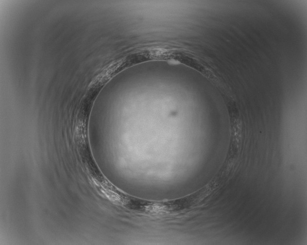 X0000085290419200703161455