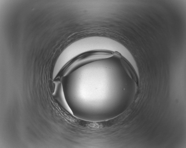 X0000085290421200703161455