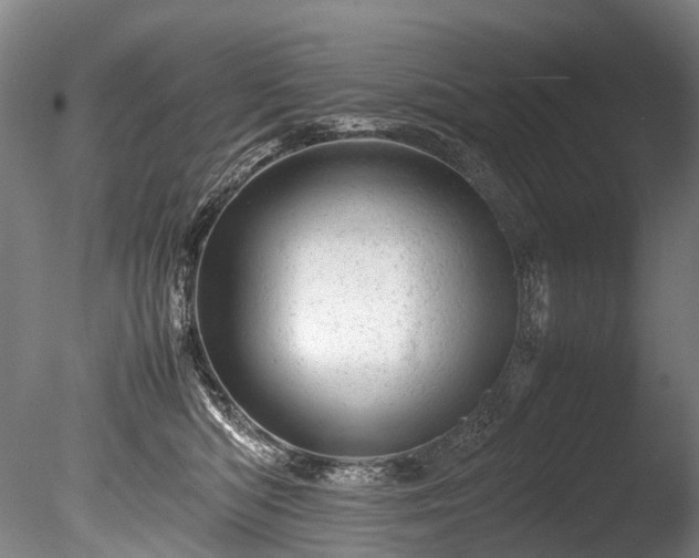 X0000085290422200703161455