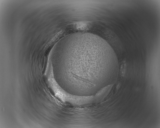 X0000085290424200703161455