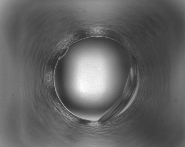 X0000085290425200703161455