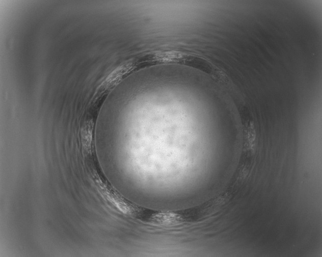 X0000085290427200703161455