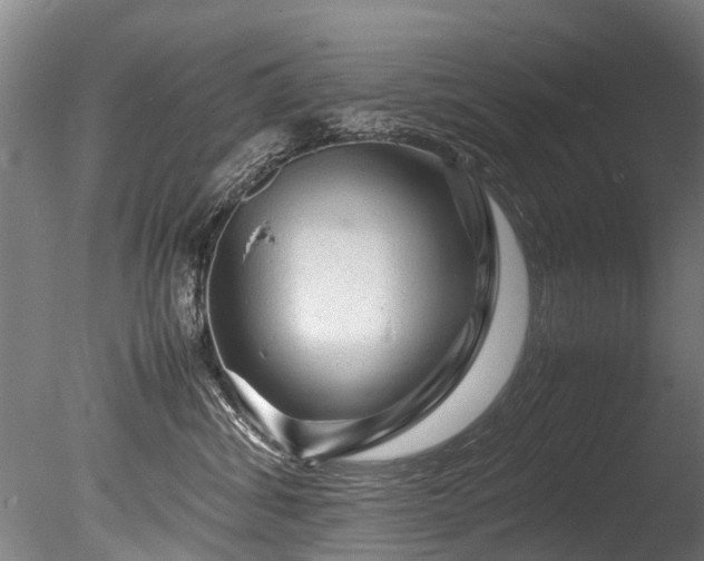 X0000085290428200703161455